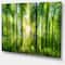 Designart - Forest with Rays of Sun Panorama - Landscape Art Print Canvas